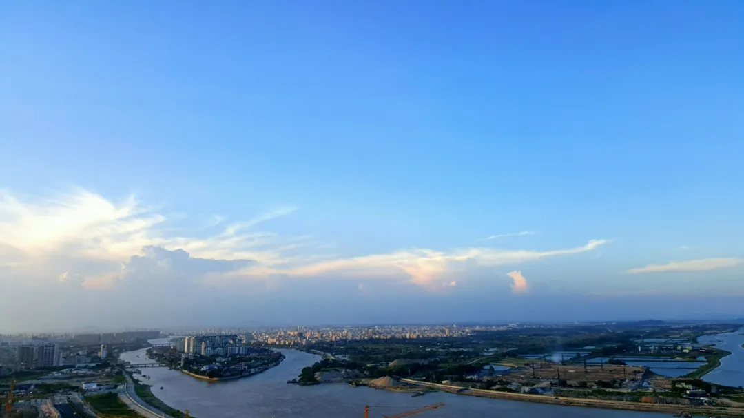 久久久www成人免费无遮挡大片