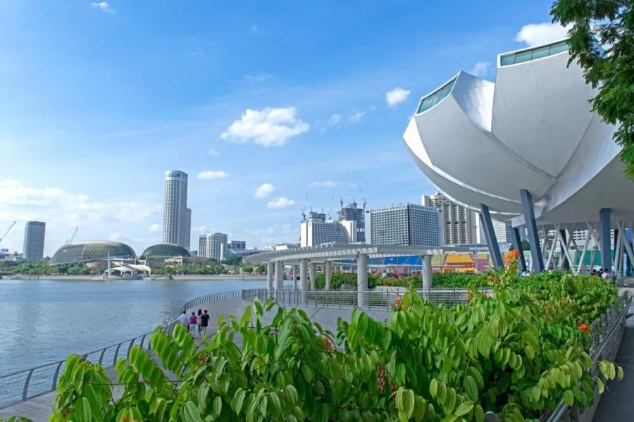 1599809900314091.jpg 1599809883(1).jpg